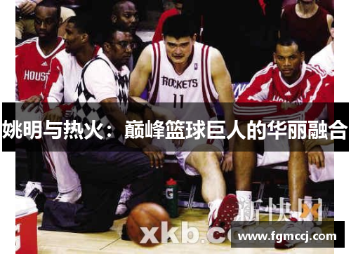 姚明与热火：巅峰篮球巨人的华丽融合