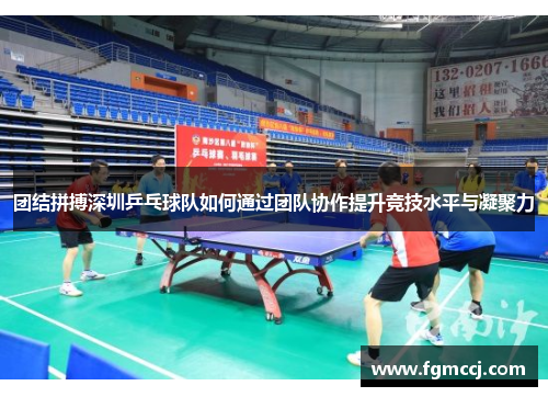 团结拼搏深圳乒乓球队如何通过团队协作提升竞技水平与凝聚力