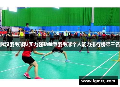 武汉羽毛球队实力强劲荣登羽毛球个人能力排行榜第三名