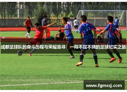 成都足球队的奋斗历程与荣耀追寻：一段不屈不挠的足球纪实之旅