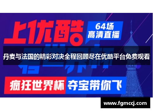 丹麦与法国的精彩对决全程回顾尽在优酷平台免费观看