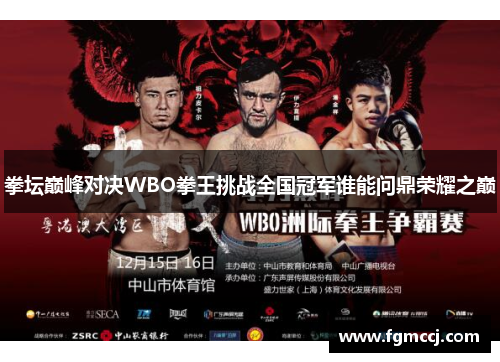 拳坛巅峰对决WBO拳王挑战全国冠军谁能问鼎荣耀之巅